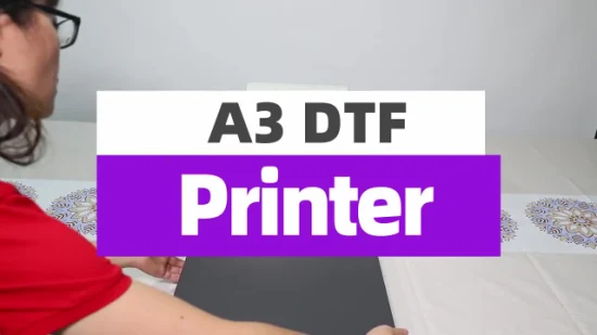 Erasmart Kleiner Desktop-Digitaldrucker für Stoff, Textil, Bekleidung, A3, DTF-Drucker, Haustierfilm, Wärmeübertragungspresse, Tintenstrahldrucker, T-Shirt